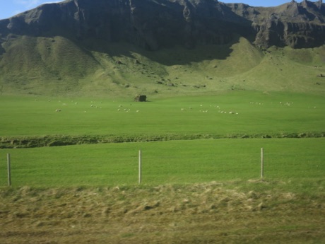 there is grazing land